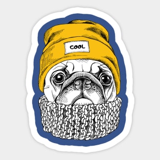 Portrait of Pug in a yellow Hipster hat and with knitted scarf Sticker